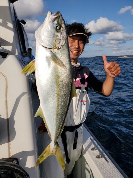 シーライオン 釣果