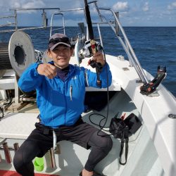 シーライオン 釣果