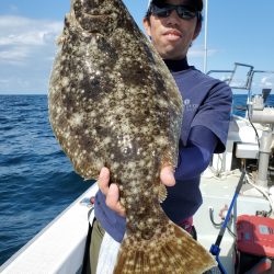 シーライオン 釣果