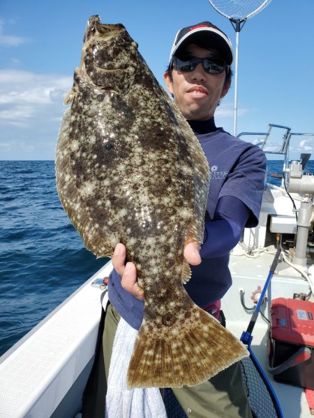 シーライオン 釣果