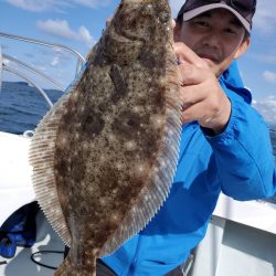 シーライオン 釣果