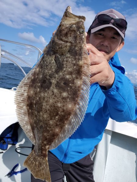 シーライオン 釣果