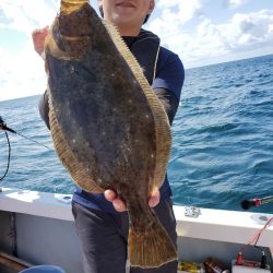 シーライオン 釣果