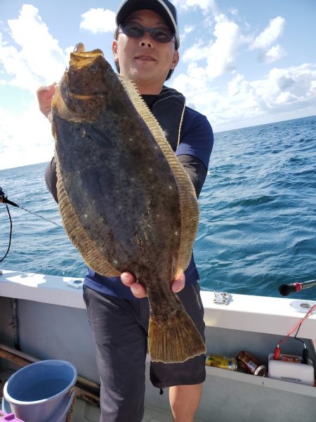 シーライオン 釣果