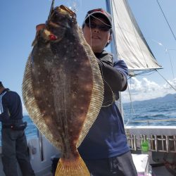 シーライオン 釣果
