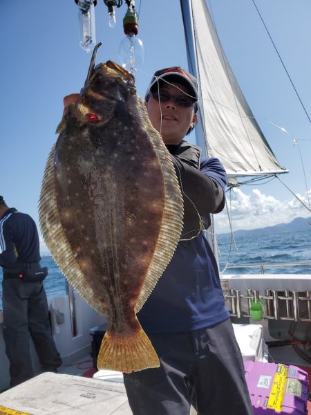 シーライオン 釣果