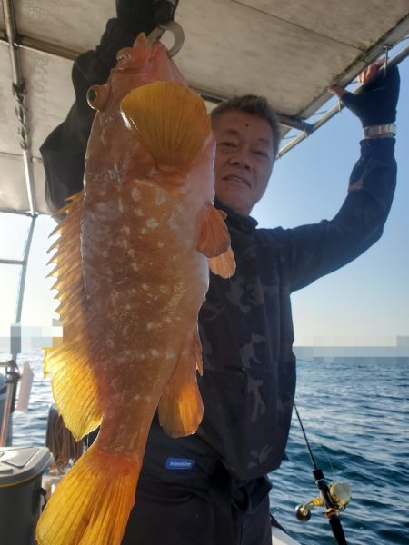 ソルトウォーターガイドフレンズ 釣果