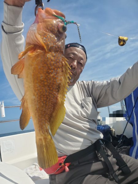 ソルトウォーターガイドフレンズ 釣果