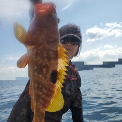 ソルトウォーターガイドフレンズ 釣果