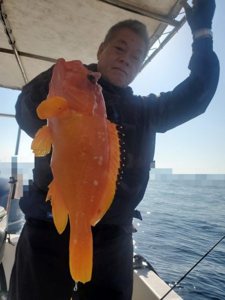ソルトウォーターガイドフレンズ 釣果
