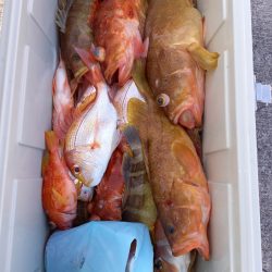 第二龍勢丸 釣果