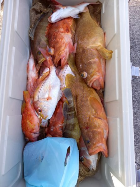 第二龍勢丸 釣果