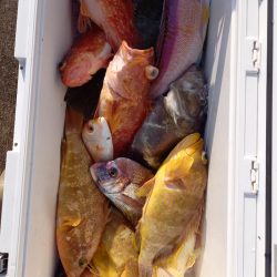 第二龍勢丸 釣果