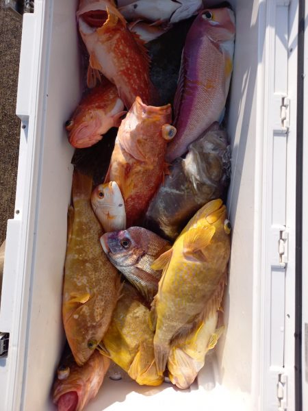 第二龍勢丸 釣果