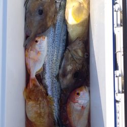 第二龍勢丸 釣果