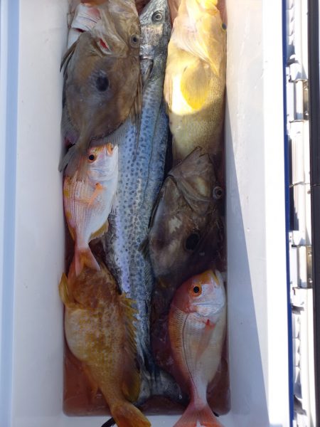 第二龍勢丸 釣果