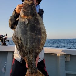 シーライオン 釣果