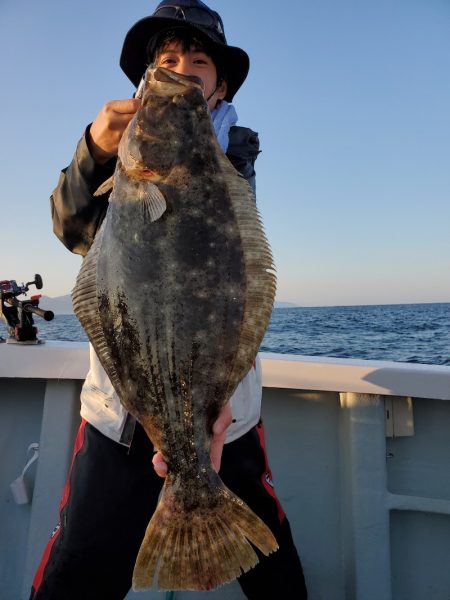 シーライオン 釣果