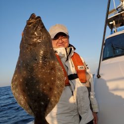 シーライオン 釣果