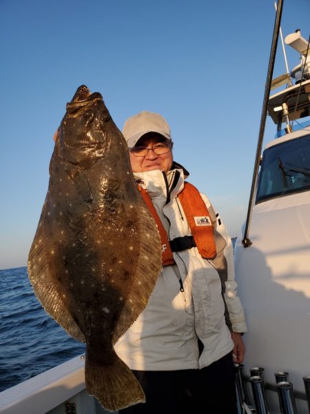 シーライオン 釣果