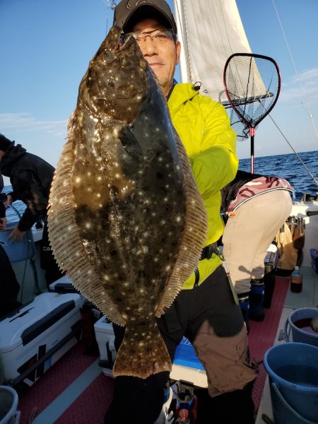 シーライオン 釣果