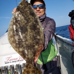 シーライオン 釣果