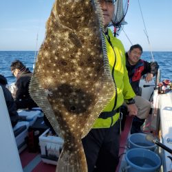 シーライオン 釣果