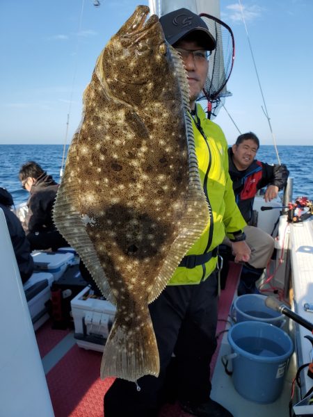 シーライオン 釣果