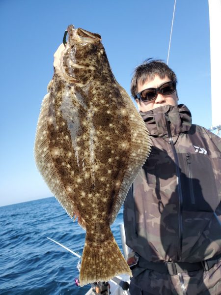 シーライオン 釣果