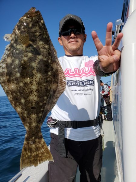 シーライオン 釣果