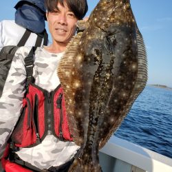 シーライオン 釣果