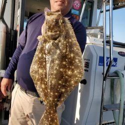 シーライオン 釣果