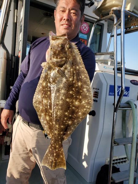 シーライオン 釣果