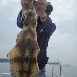 ソルトウォーターガイドフレンズ 釣果