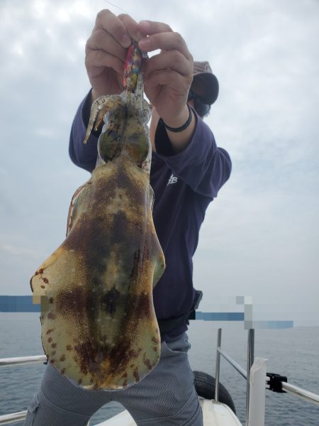 ソルトウォーターガイドフレンズ 釣果