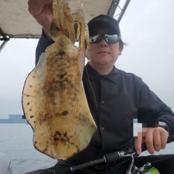 ソルトウォーターガイドフレンズ 釣果