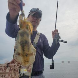 ソルトウォーターガイドフレンズ 釣果