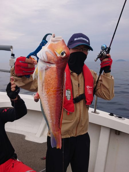 ARCADIAⅡ (アルカディアⅡ) 釣果