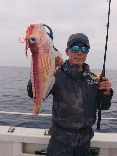 ARCADIAⅡ (アルカディアⅡ) 釣果