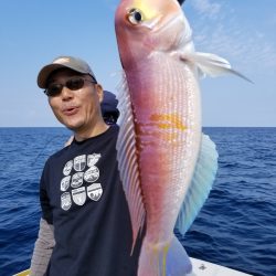 アマテラス 釣果