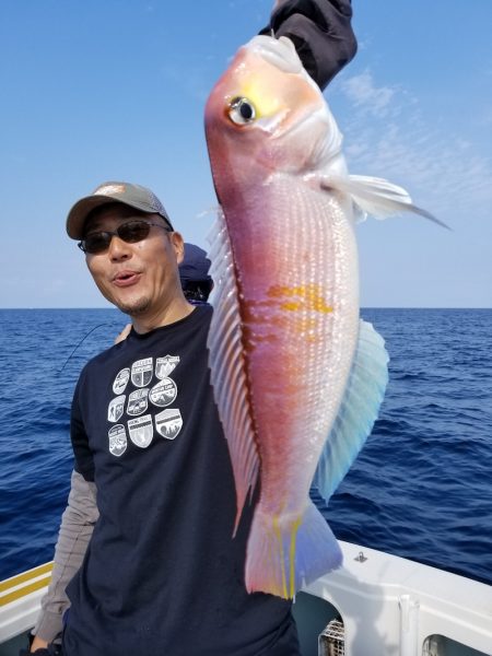 アマテラス 釣果