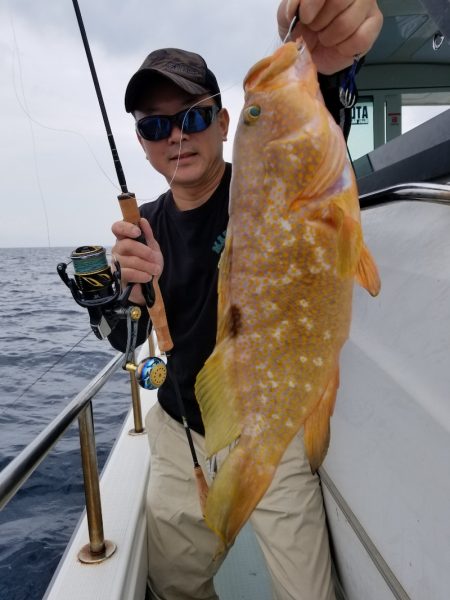 アマテラス 釣果