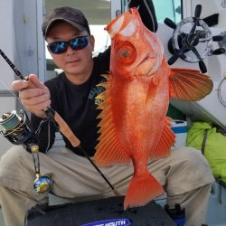 アマテラス 釣果