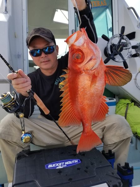 アマテラス 釣果