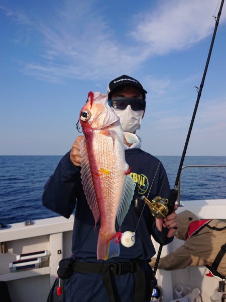 ARCADIAⅡ (アルカディアⅡ) 釣果