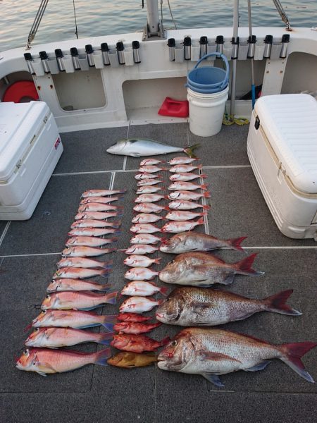 ARCADIAⅡ (アルカディアⅡ) 釣果