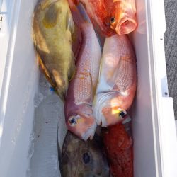 第二龍勢丸 釣果