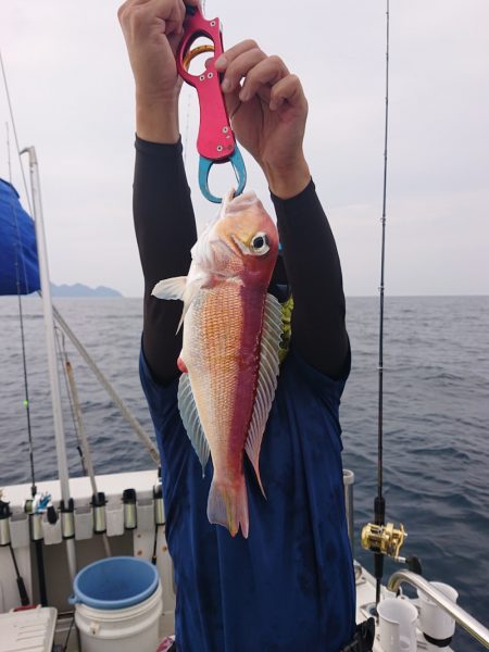 ARCADIAⅡ (アルカディアⅡ) 釣果