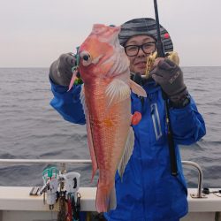 ARCADIAⅡ (アルカディアⅡ) 釣果