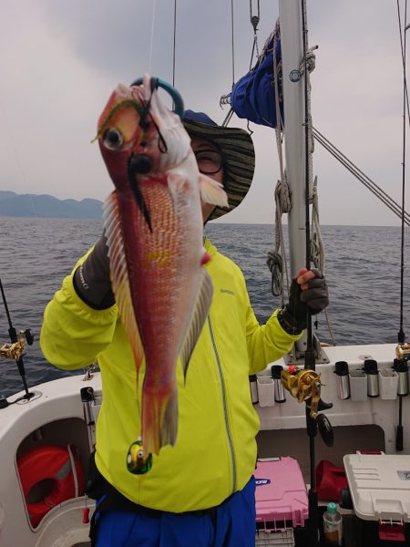 ARCADIAⅡ (アルカディアⅡ) 釣果